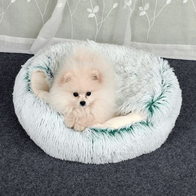 Letto per animali domestici: Comfort e Serenità