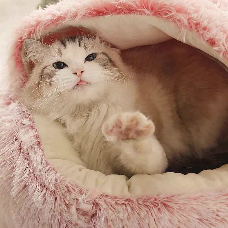 Letto per animali domestici: Comfort e Serenità